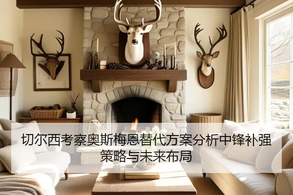 切尔西考察奥斯梅恩替代方案分析中锋补强策略与未来布局